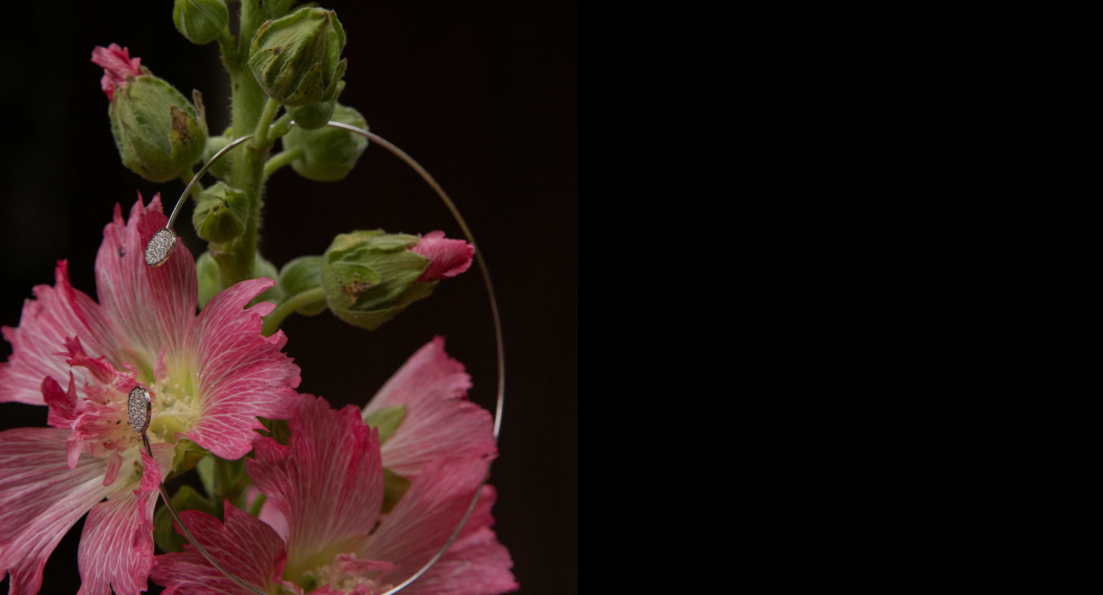 <b>FLOWERS <small>are the</small><br> JEWELRY <small>of  <br>the world</small></b>” width=”1500″ height=”809.5″>          <img decoding=